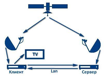 Что смотреть?